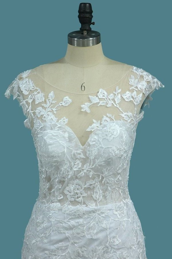 2024 Scoop Open Back Lace Wedding Dresses P18D6JXG