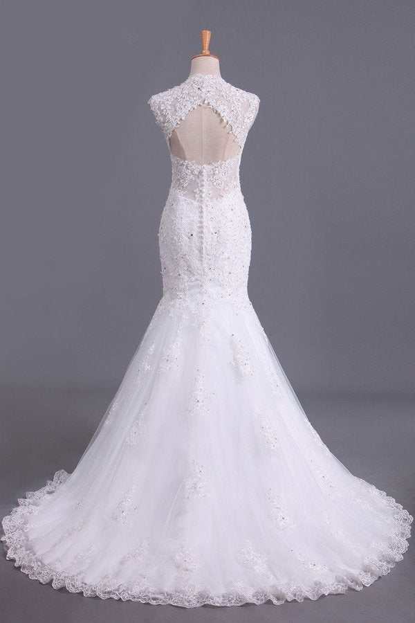 2024 Hot Mermaid/Trumpet Wedding Dresses With Applique & Beads Open PT3MPAKP