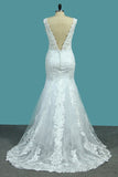 2024 Open Back V Neck Tulle & Lace Wedding Dresses With Applique P2QJ5FQH