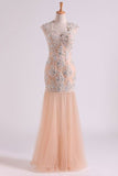2024 Classic Prom Dresses V Neck Mermaid/Trumpet Floor Length Tulle Champagne With Applique & P44MFR4N