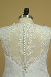 2024 Plus Size A Line V Neck Wedding Dresses Tulle With Applique Court P9G9YZ21