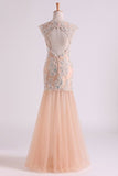 2024 Classic Prom Dresses V Neck Mermaid/Trumpet Floor Length Tulle Champagne With Applique & P44MFR4N