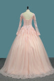 2024 V Neck Quinceanera Dresses Ball Gown Long Sleeves Tulle PZNRP2BC