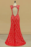 2024 Plus Size Open Back V Neck Mermaid Lace Prom Dresses With Beads & Slit Sweep P9X4TAMP