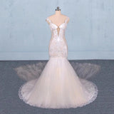 Charming Mermaid Tulle V-neck Wedding Dress, Sheer Back Long Bridal Dresses STF15112