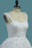 2024 Off The Shoulder A Line Tulle Wedding Dresses With Applique P6DPG73Q