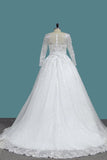 2024 A Line Long Sleeves Tulle Wedding Dresses With Applique P9ANHTL1