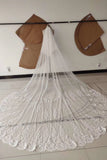 3M Long Tulle Appliques Wedding Veils STF14989