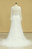 2024 Plus Size V-Neck Long Sleeves Wedding Dresses With Applique P49MY93H