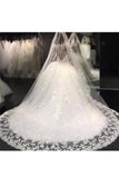 2024 Ball Gown Bateau Long Sleeves Tulle Wedding Dresses With Applique PK5FRD9J
