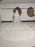 3M Long Embroidered Lace Appliques Tulle Cathedral Veil for Wedding, Wedding Veils STF14988