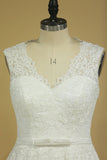 2024 Plus Size V-Neck Wedding Dresses A-Line Court Train Tulle With Applique & Belt Covered PXCRD6L7