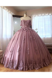 Ball Gown Off The Shoulder Tulle Quinceanera Dress With Lace Appliques Puffy Prom STFP3HM7KB3