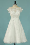 2024 Homecoming Dresses A Line Scoop With PCFEX7FP