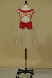 2024 A Line Homecoming Dresses Scoop Tulle With Beads And Bow PATMN1NK