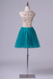 2024 Scoop A Line Tulle Short/Mini Homecoming P37351AJ