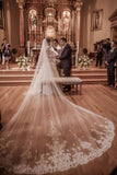Fairy Tale Worthy One Layer Cathedral Length Lace Wedding Veil+Comb