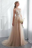 Elegant Tulle Sleeveless Prom Dresses Long Lace Appliques High Neck Evening Gowns