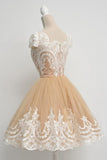 Elegant A Line Classical Princess Ball Gown Short Homecoming Dresses