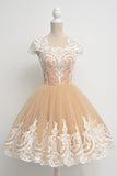 Elegant A Line Classical Princess Ball Gown Short Homecoming Dresses