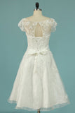 2024 Homecoming Dresses A Line Scoop With PCFEX7FP