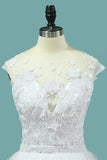 2024 Wedding Dresses Scoop Tulle With Applique A Line P5T2CR31
