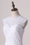 2024 Wedding Dresses Scoop With Applique And Sash A Line P27NDYJD