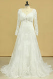 2024 Plus Size V-Neck Long Sleeves Wedding Dresses With Applique P49MY93H