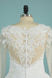 2024 Wedding Dresses Scoop Long Sleeves A Line Tulle P62H65E2