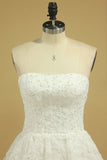 2024 Wedding Dresses Strapless Tulle With Applique A Line P7Y2DSRH