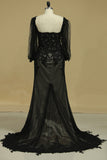 2024 Evening Dresses Long Sleeve Tulle Sheath/Column With Applique Sweep PQ3Z6JDT
