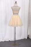 2024 Homecoming Dresses Scoop A-Line Beaded Bodice P93AXD5L