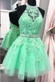 2024 Halter Open Back Appliques Beads Tulle Lace Homecoming Dress