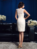 Sheath/Column Jewel Lace Sleeveless Short Lace Mother of the Bride Dresses TPP0007314