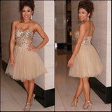 Champagne Short Prom Dresses 2024 Homecoming Gowns Tulle Homecoming Dresses